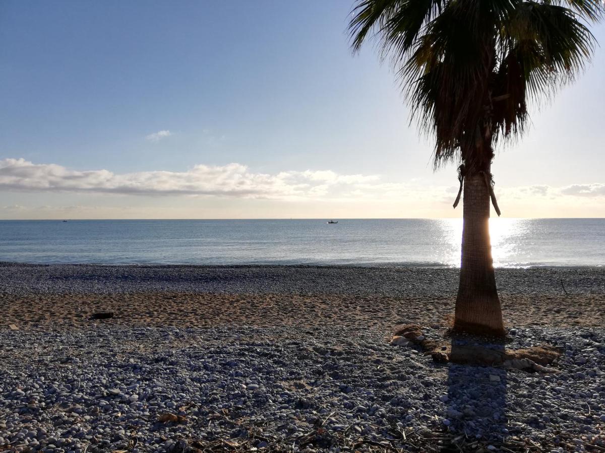 Appartement 2P Et Parking Prive A 50M Des Plages. Villeneuve-Loubet Exteriér fotografie
